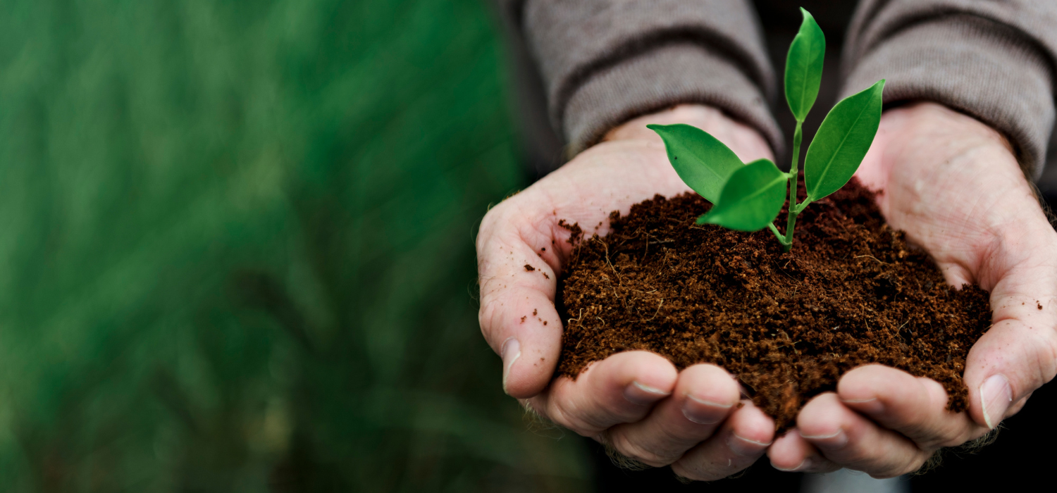 Leave No Trace: Embracing the Wilderness Responsibly - The Soul Squatch